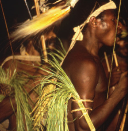 A man wearing a bird of paradise headdress.