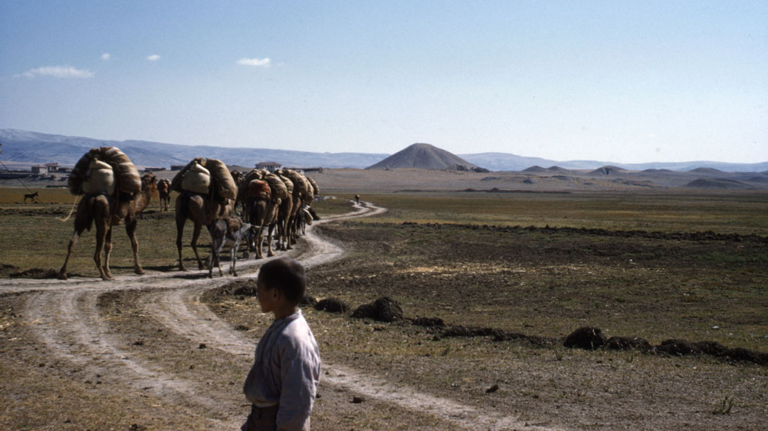 A winding path through a field, camels traveling the path. A massive mound in the distance.