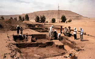 Josef Wegner discovering an ancient mayor's house at Abydos, summer 1999