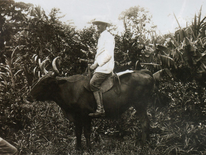 Portrait of William C. Farabee on a horse