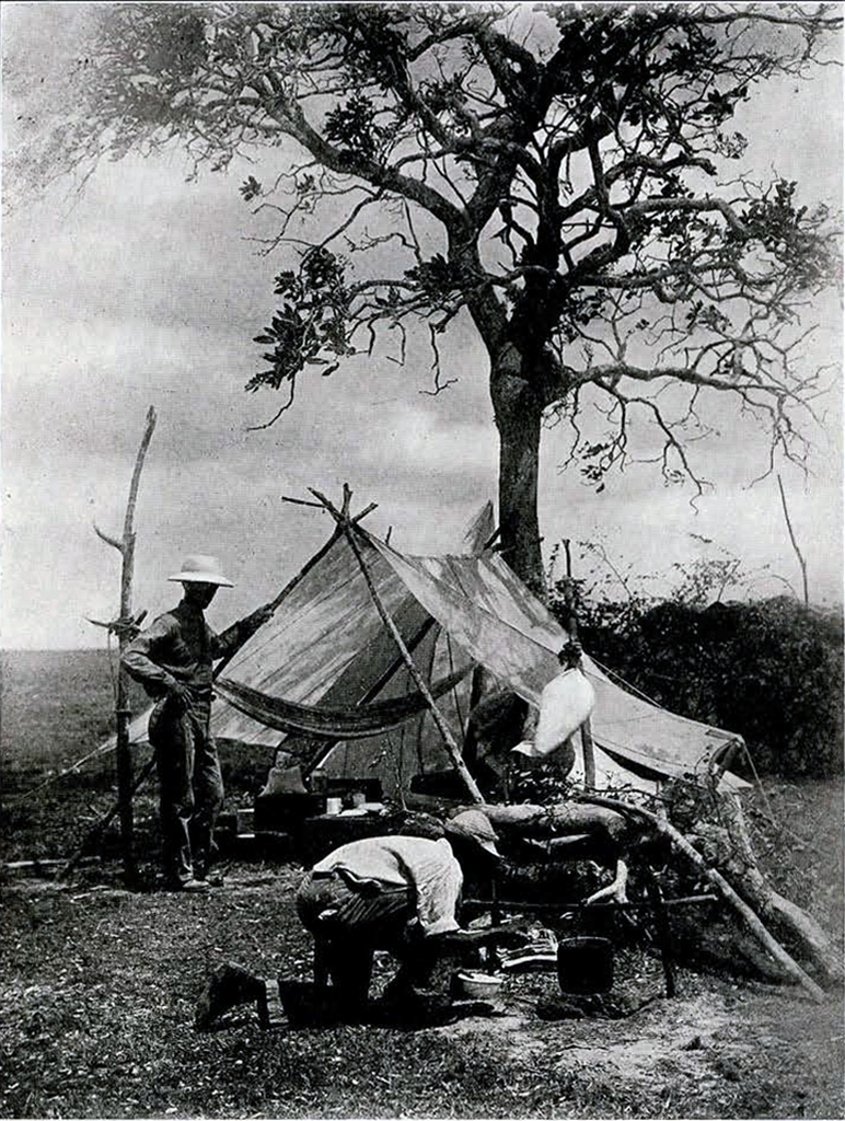 A tent under a tree with men building camp