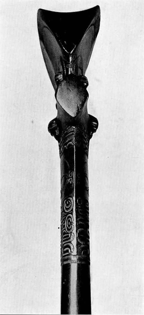 head of a war club from the side