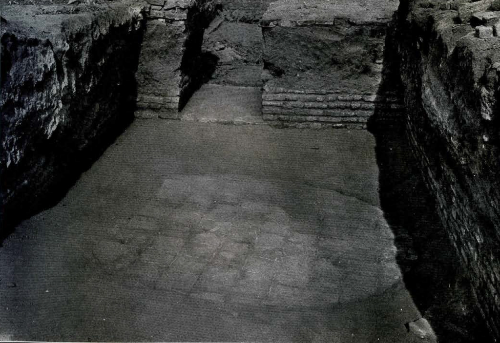 excavated floor showing area of tiles in a circle