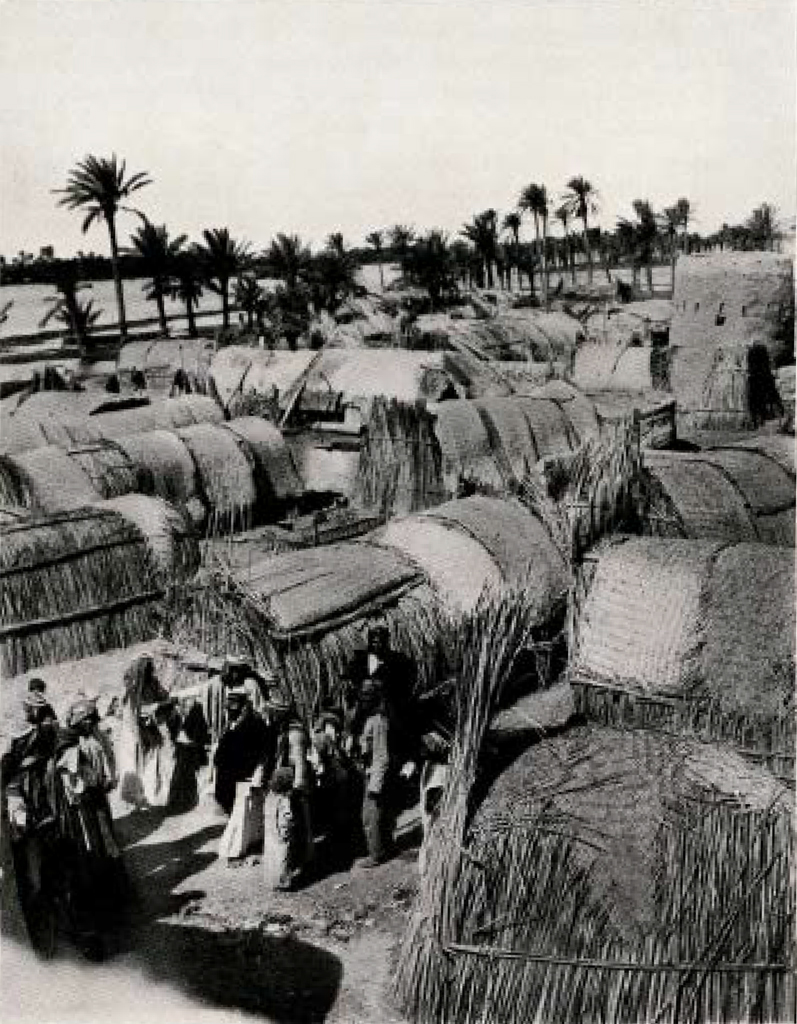 A group of many huts made of grass, leaves, or reeds