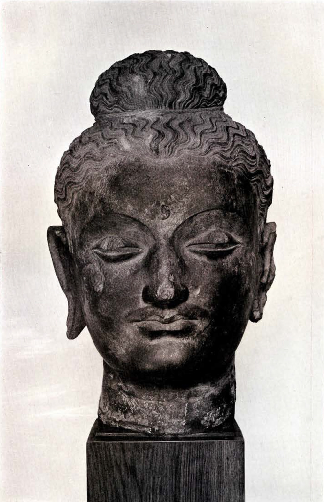 Head of Gandharan Buddha with ushnisha, urna, and very elongated earlobes. Front view