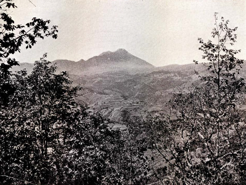 A view of mountains with trees in the foreground