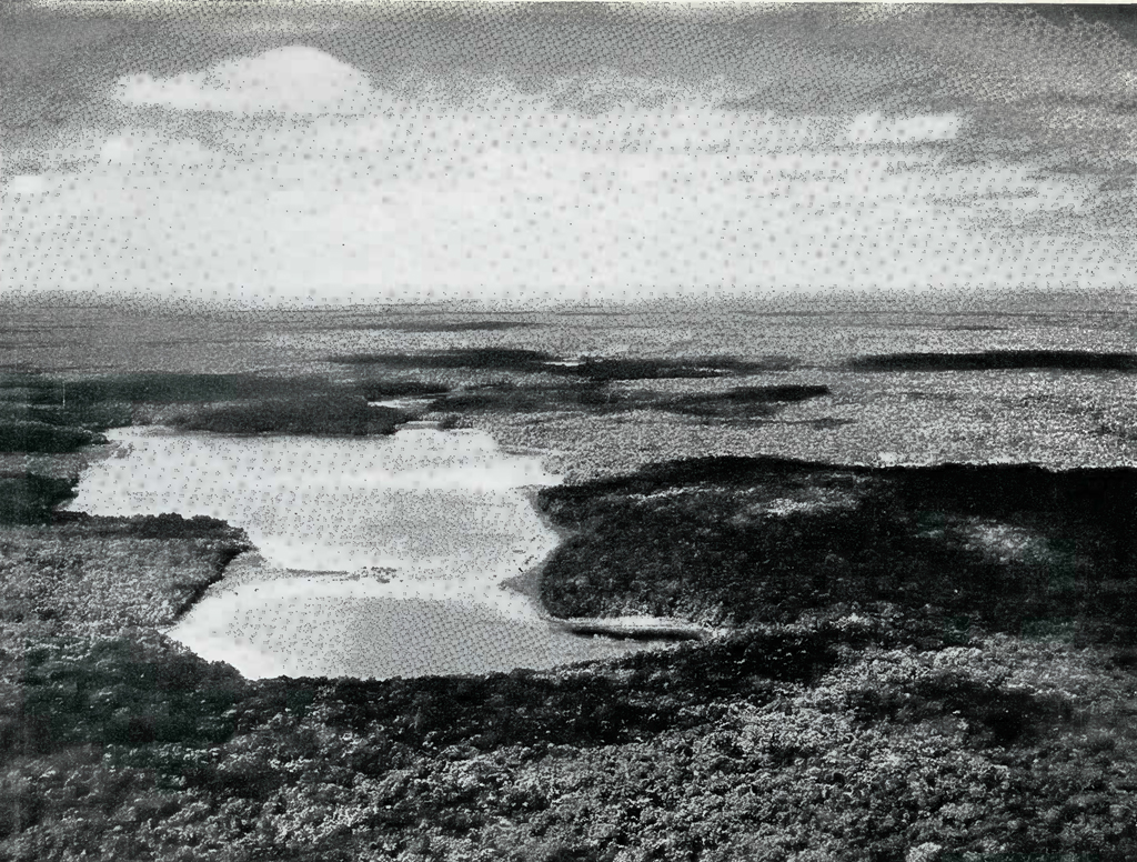 Aerial view of a large lake in the middle of the jungle