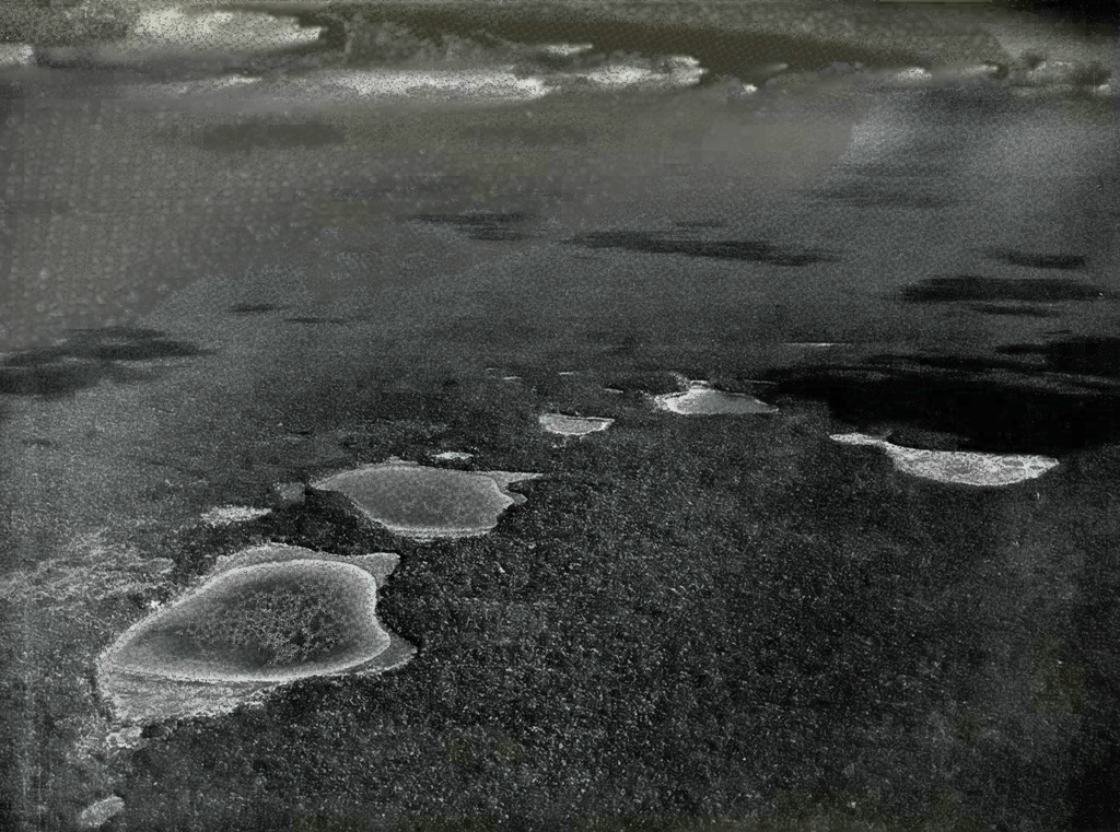 Aerial view of a group of lakes amidst the jungle