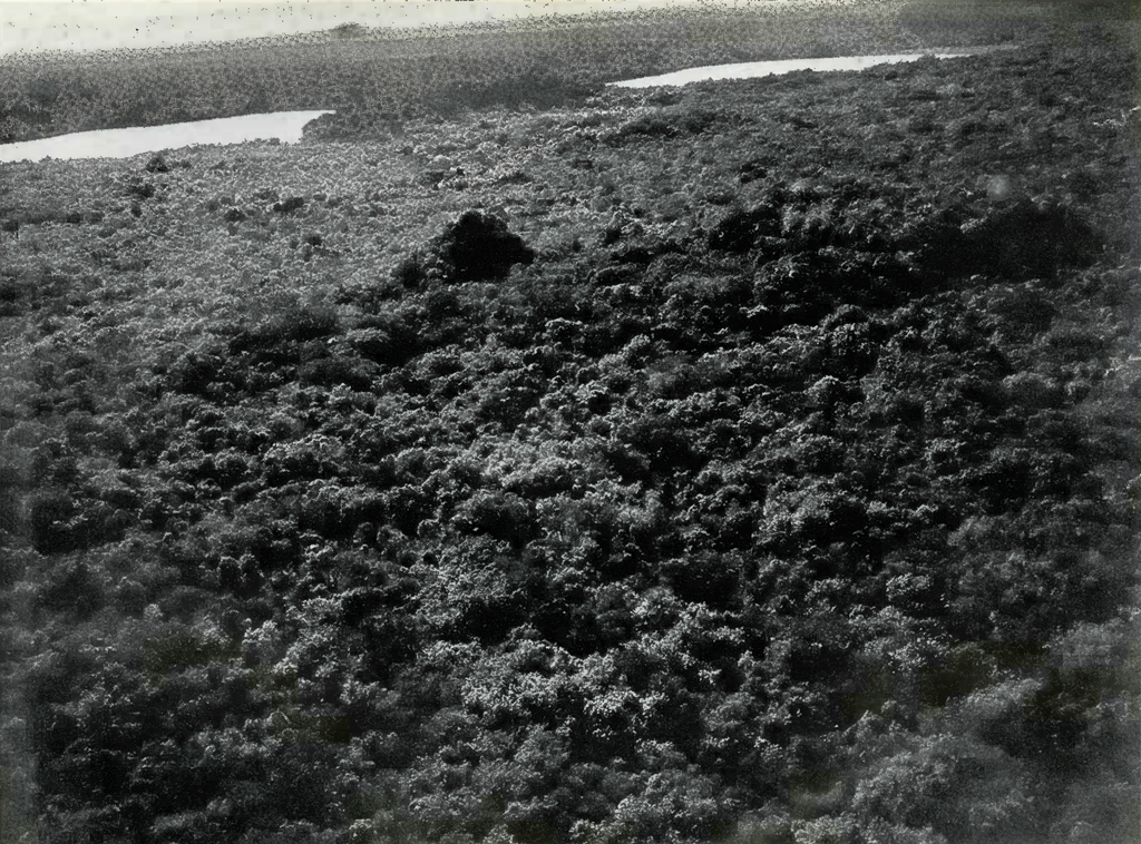 Aerial view of dense jungle with a ruin breaking through