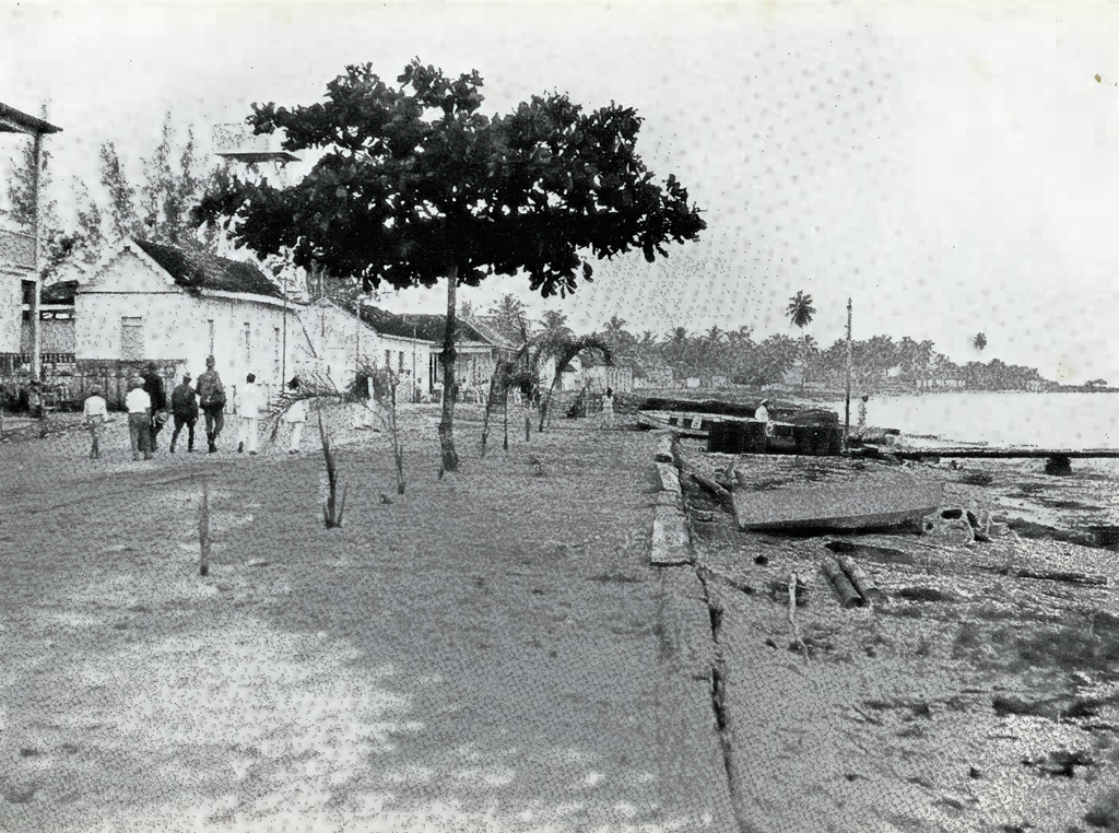 People and houses along a shore, with some trees