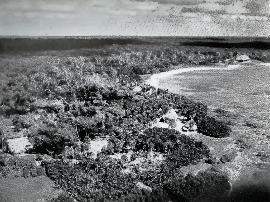 A village against a shore amidst the jungle