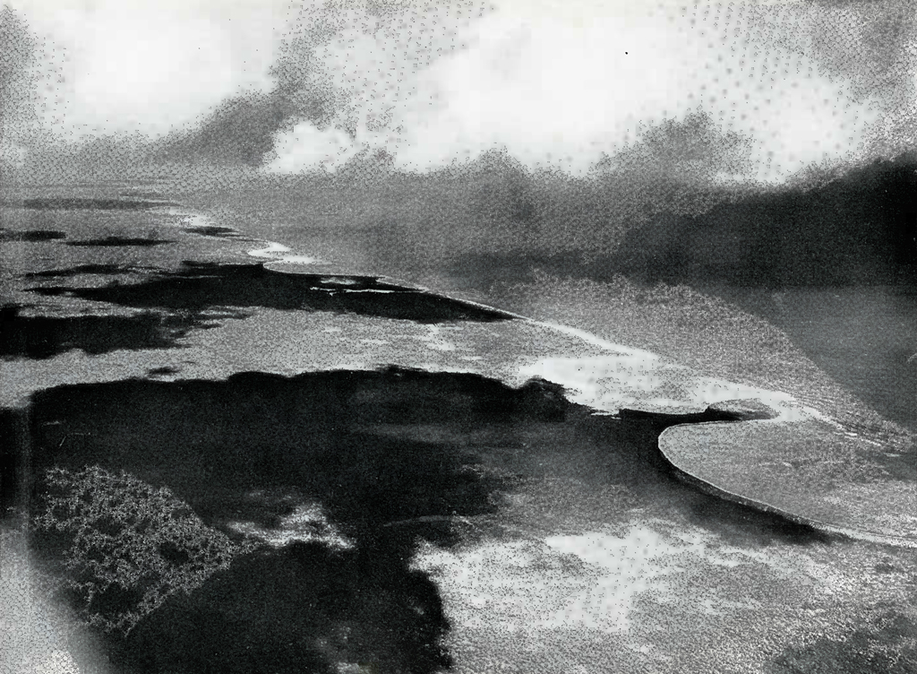 Aerial view of an ocean coast