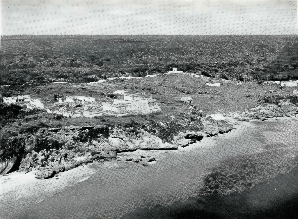 Aerial view of buildings along a short tucked among the jungle