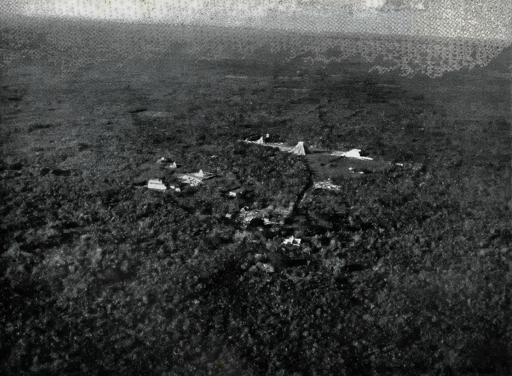 Aerial view of buildings and ruins breaking through dense jungle