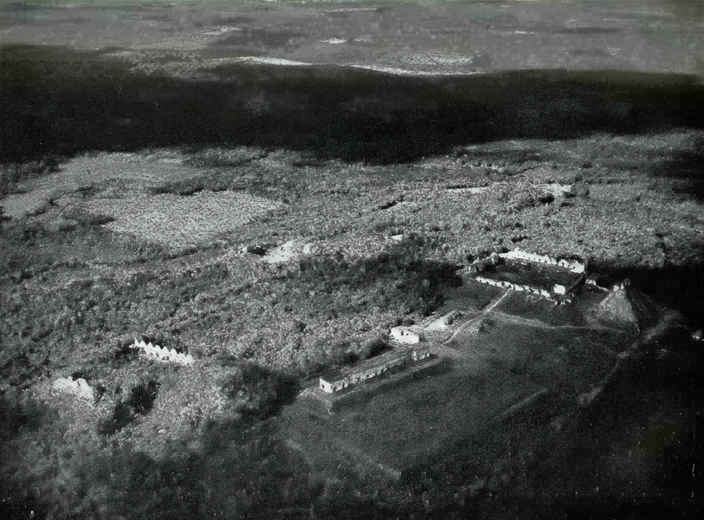 Aerial view of dense jungle with buildings and clearings
