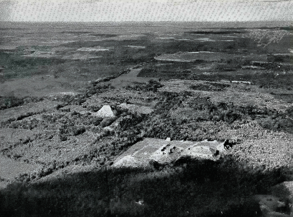 Aerial view of buildings in a jungle