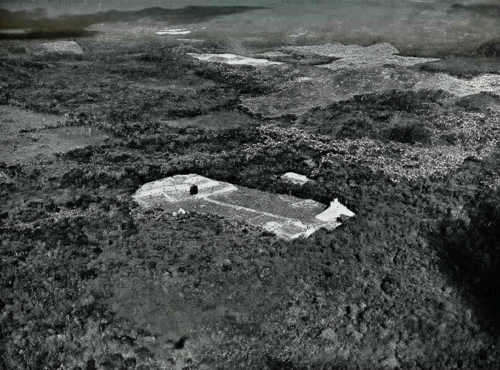 Aerial view of a clearing in the jungle with buildings