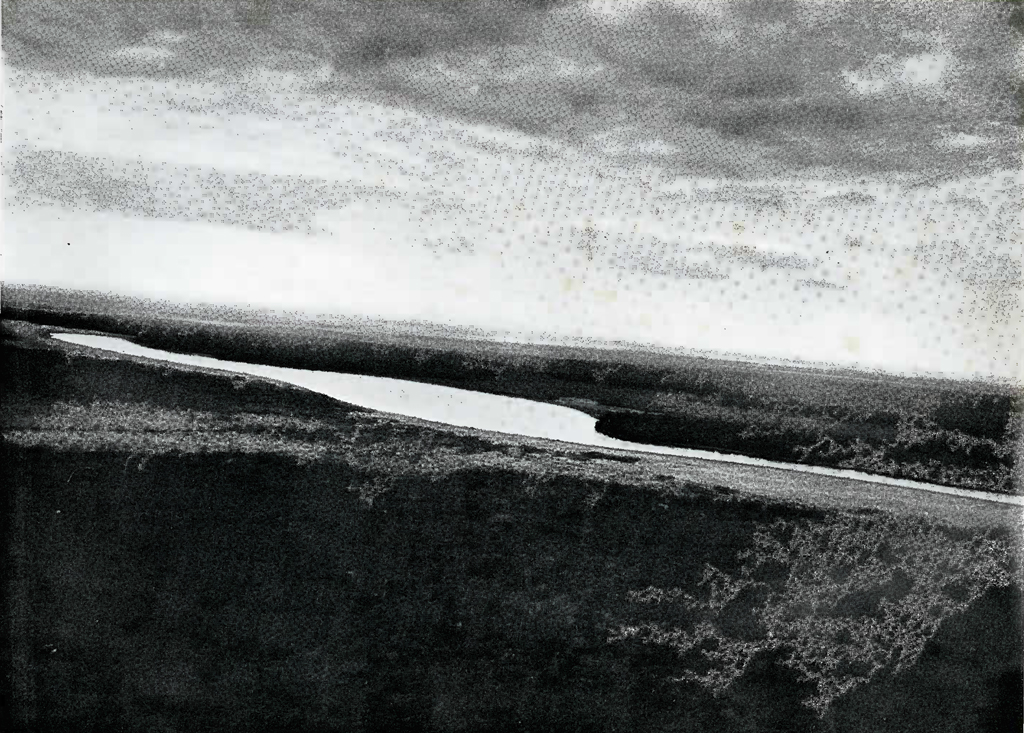 Aerial view of a lake among the jungle