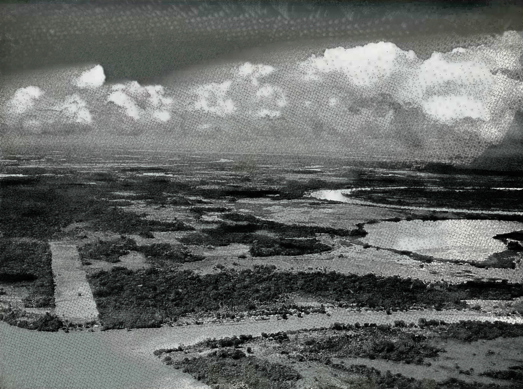 Aerial view of a river mouth and lakes among the jungle