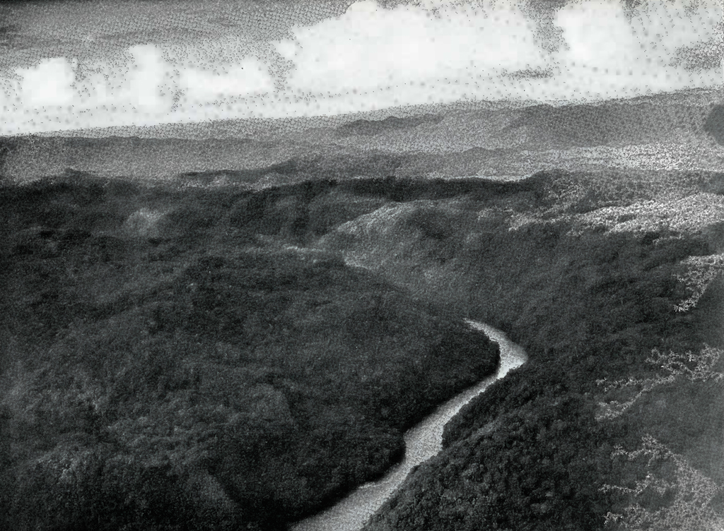 Aerial view of a river in a gorge amongst dense jungle