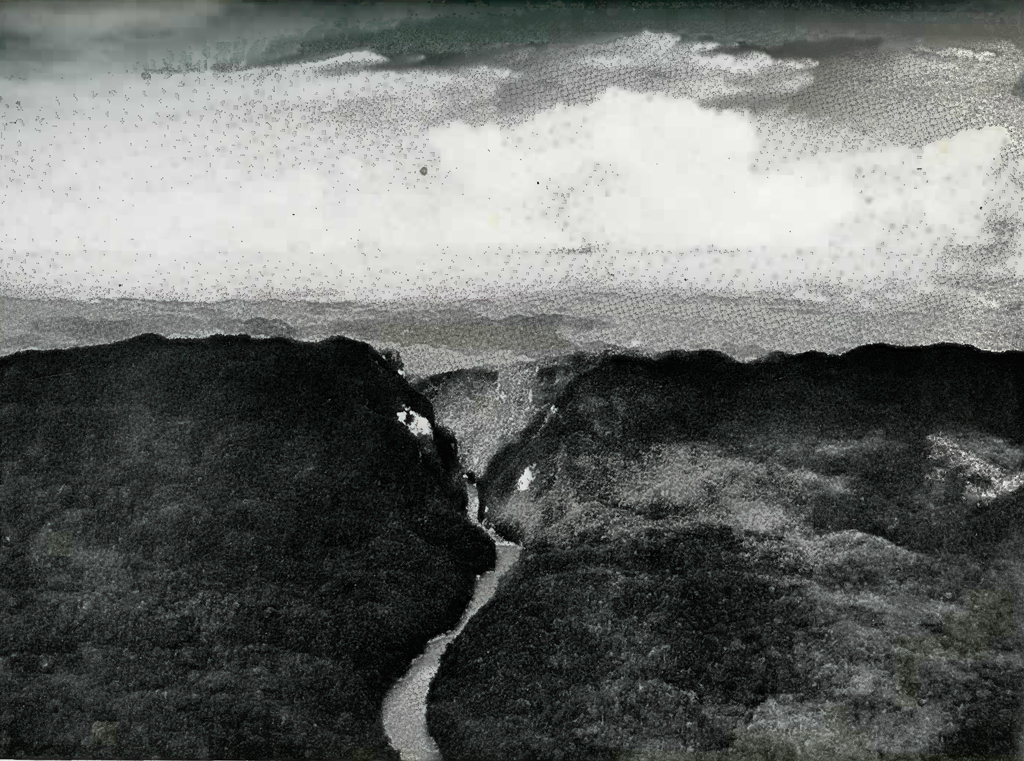 Aerial view of a river in a gorge with dense jungle surrounding