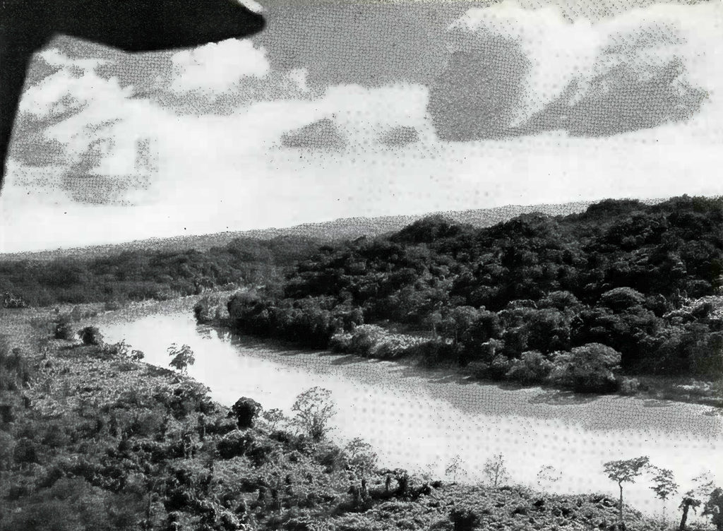 Aerial view of the river with jungle on both sides