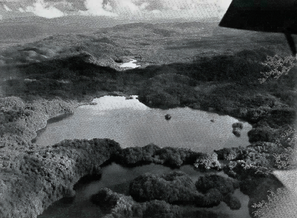 Aerial view of a lake surrounded by dense jungle