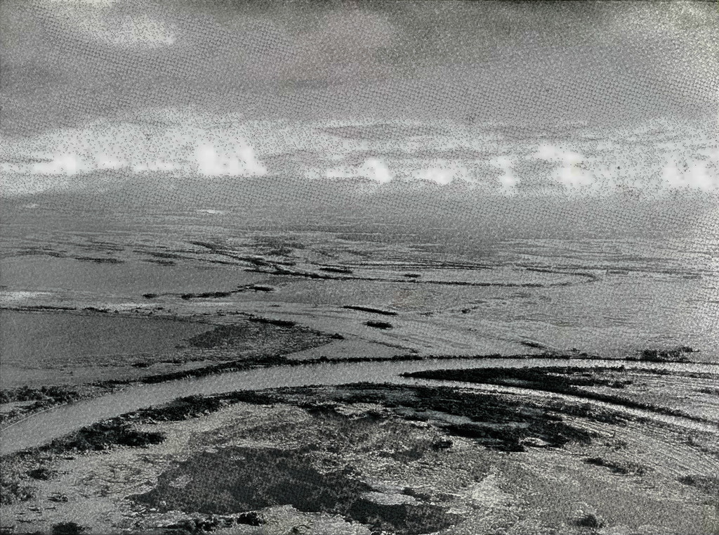 Aerial shot of a river delta