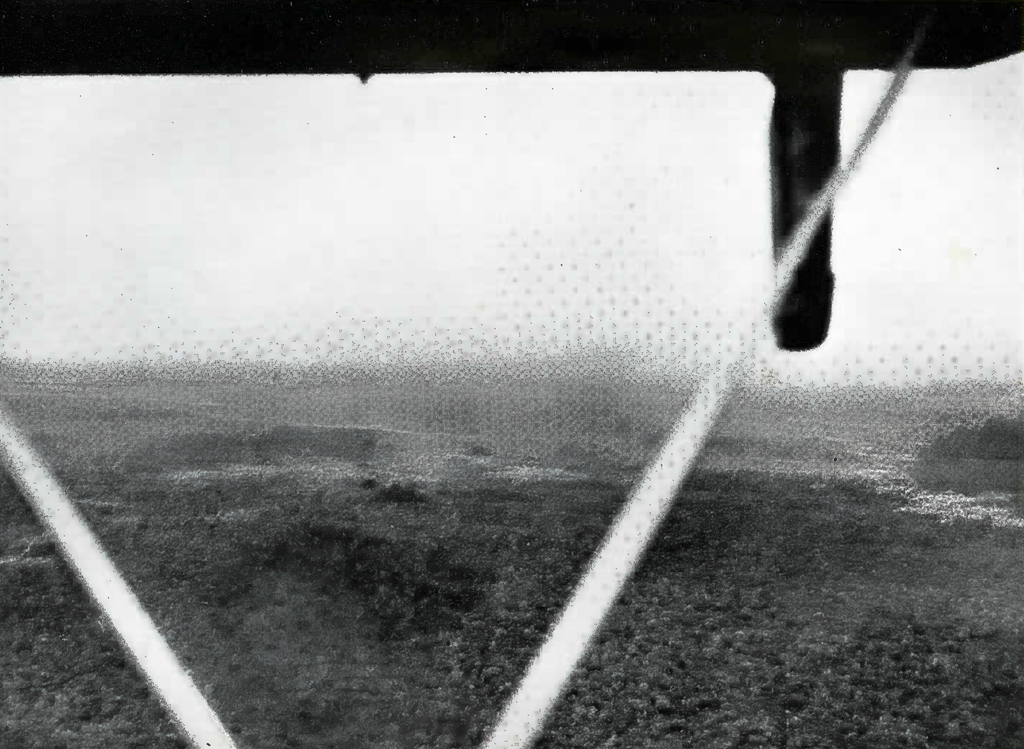 Aerial view of ruins framed by a parts of the plane