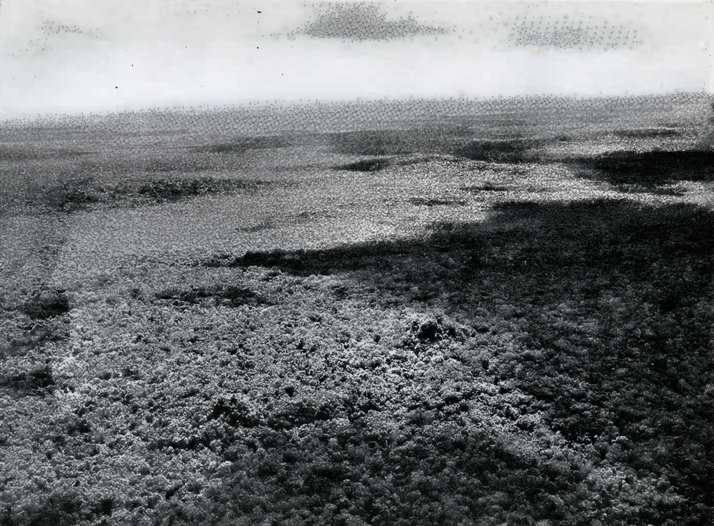 Aerial view of small ruins in dense jungle