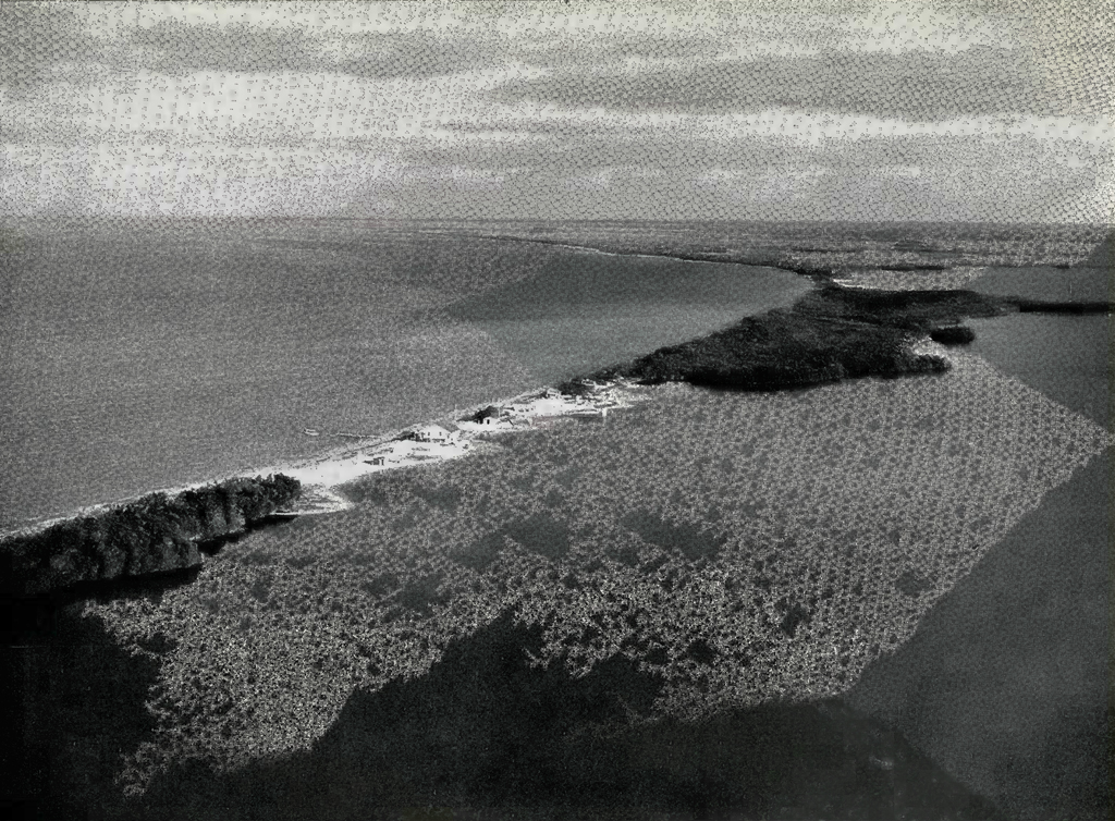 Aerial view of a base in the jungle