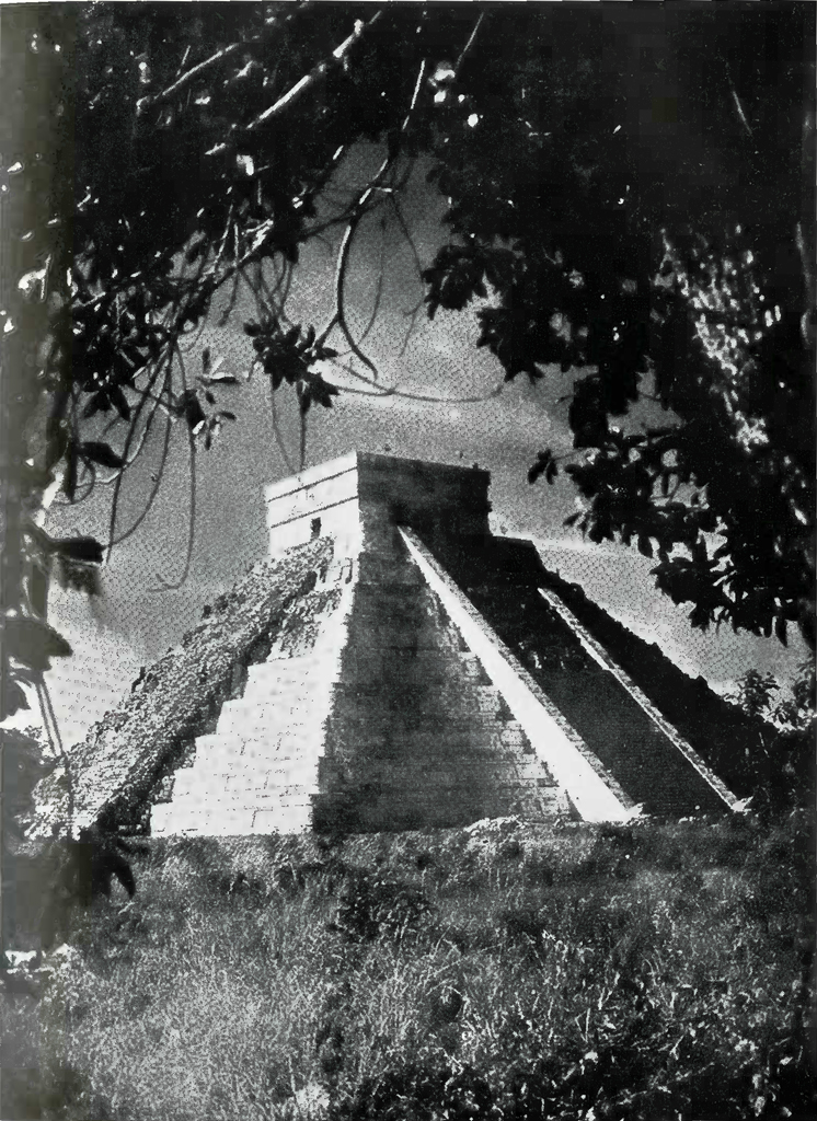 A stepped pyramid framed by overhanging branches and leaves