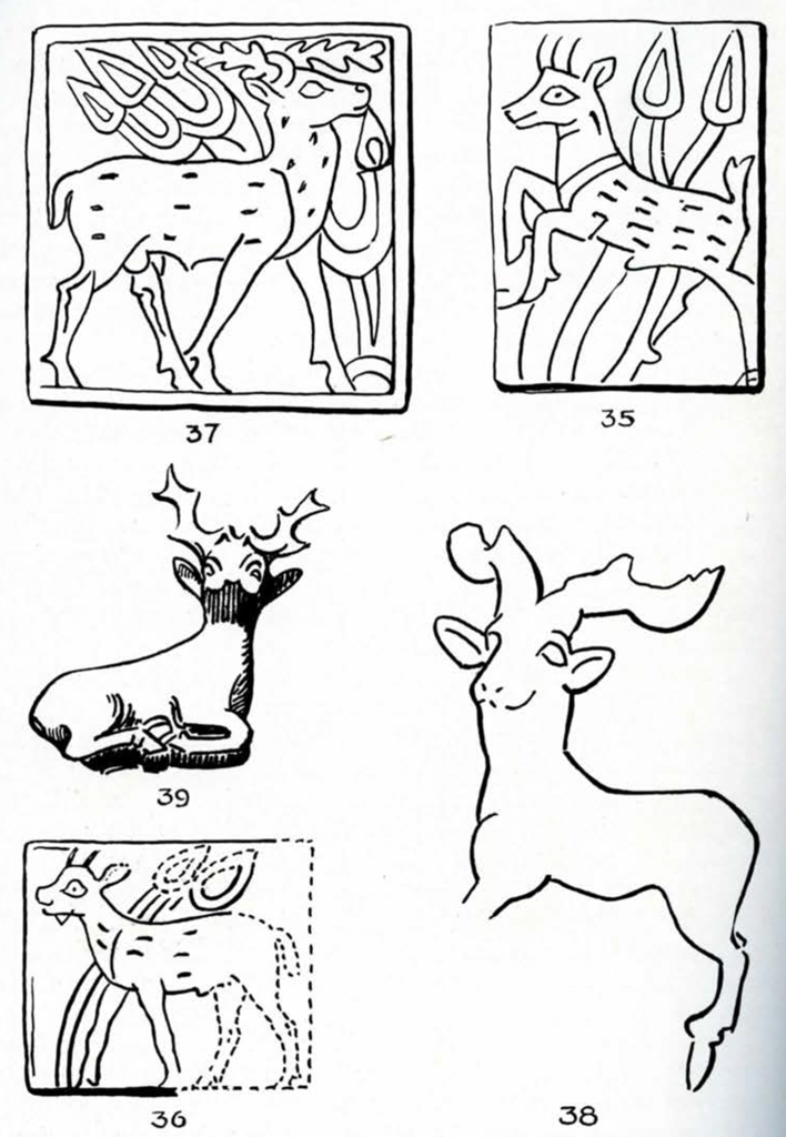 Drawings of deer in different depictions