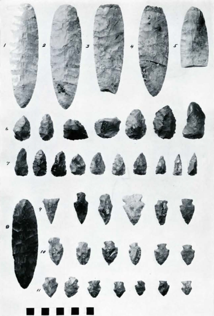 Rounded blades and many arrow heads
