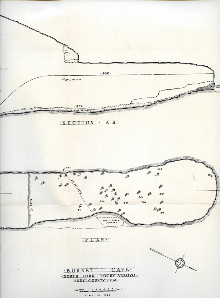 Drawn section and plan of Burnet Cave
