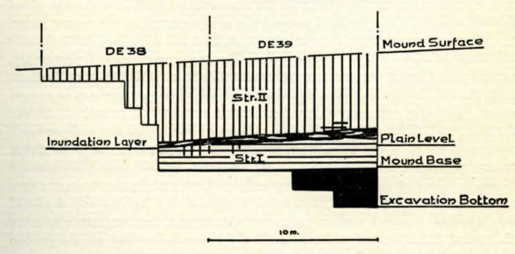 Drawn graph showing stratums