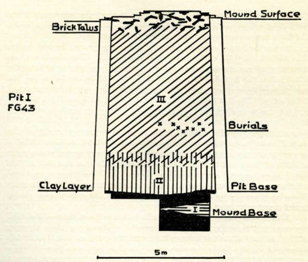 Drawn graph showing stratums