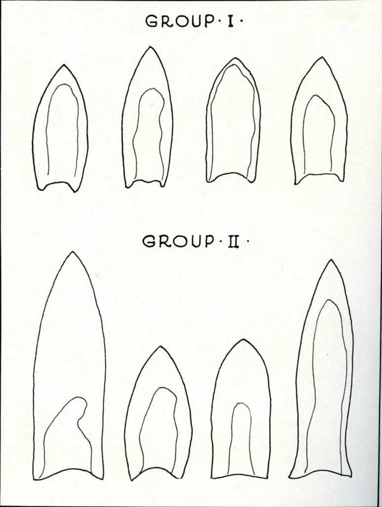 Drawn diagram of two different point groups