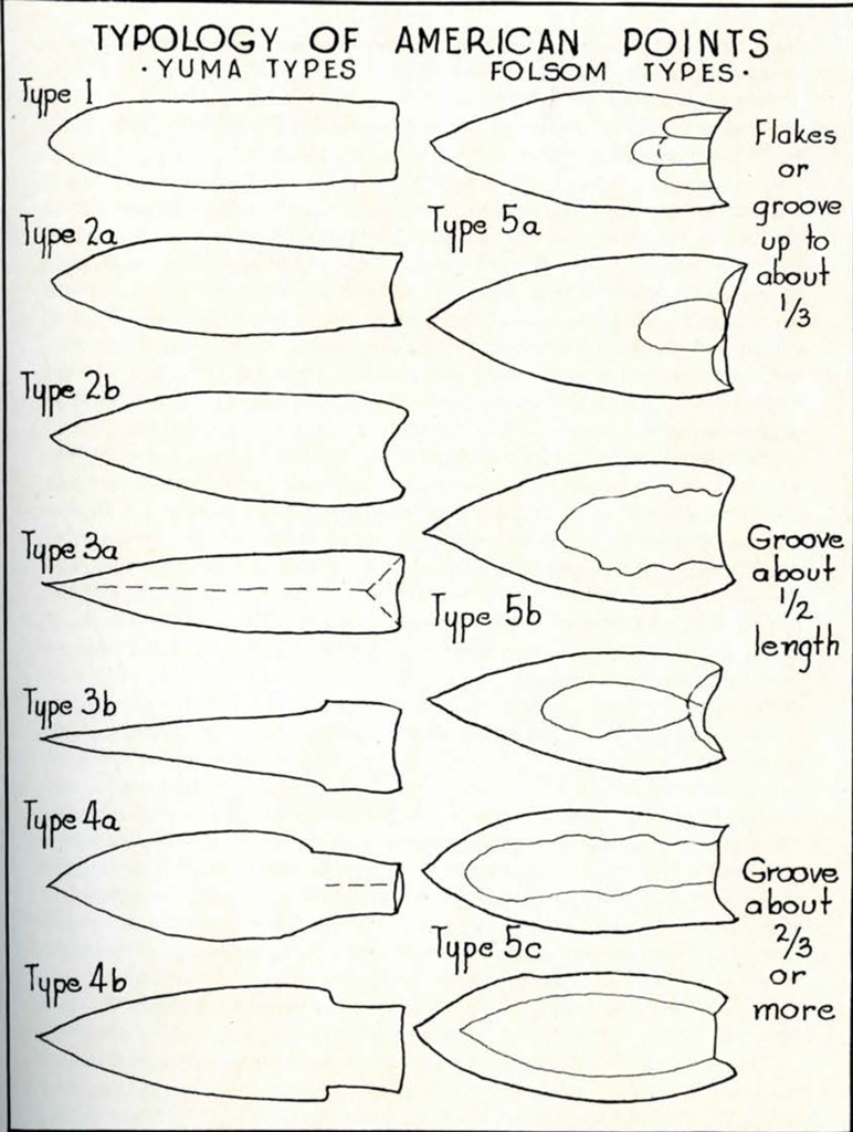 Drawn diagram of different spear points