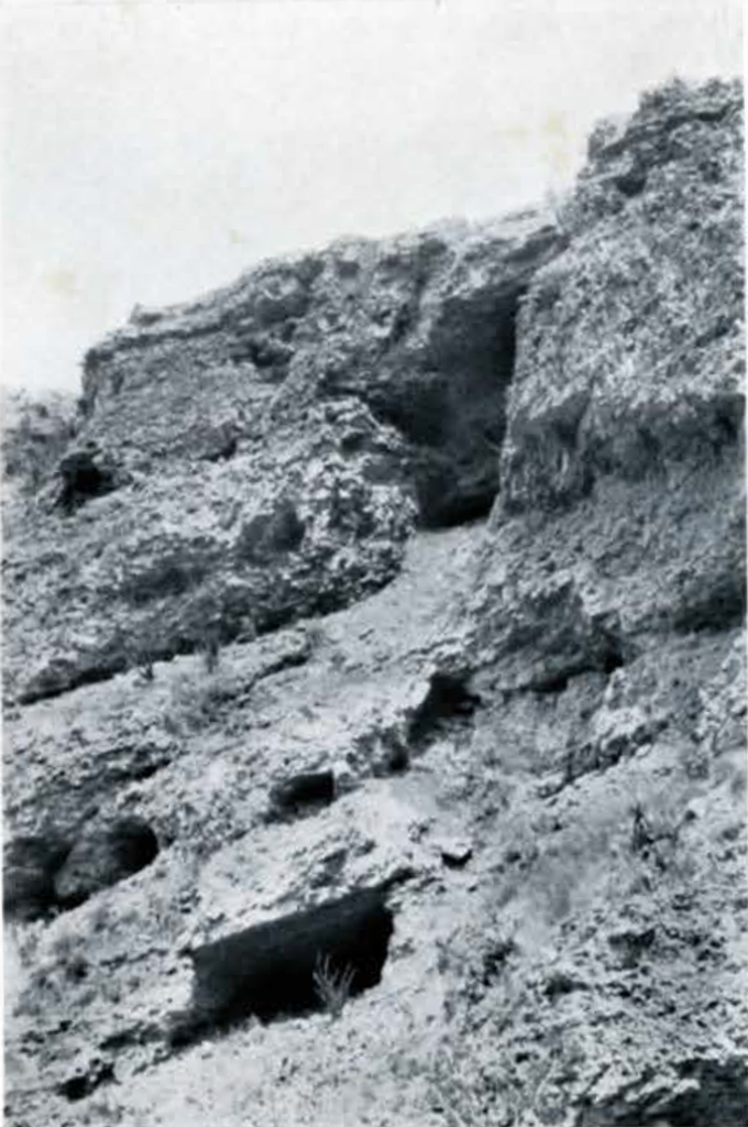 Rocky face of a mountain showing cave entrances