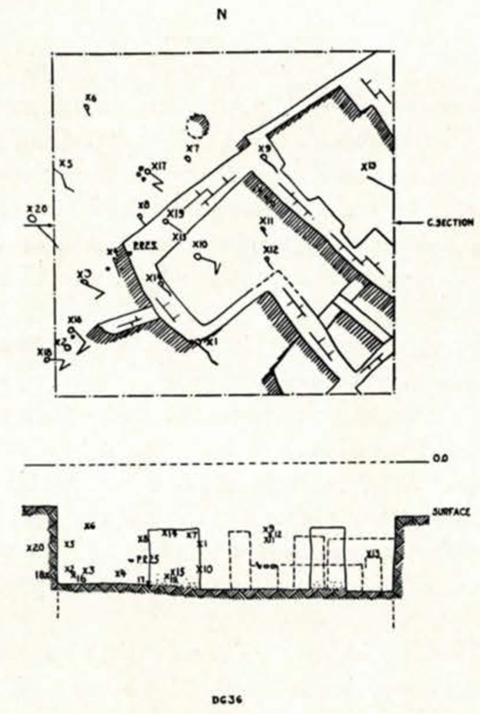 drawing of a plan of square of remains and a cross section