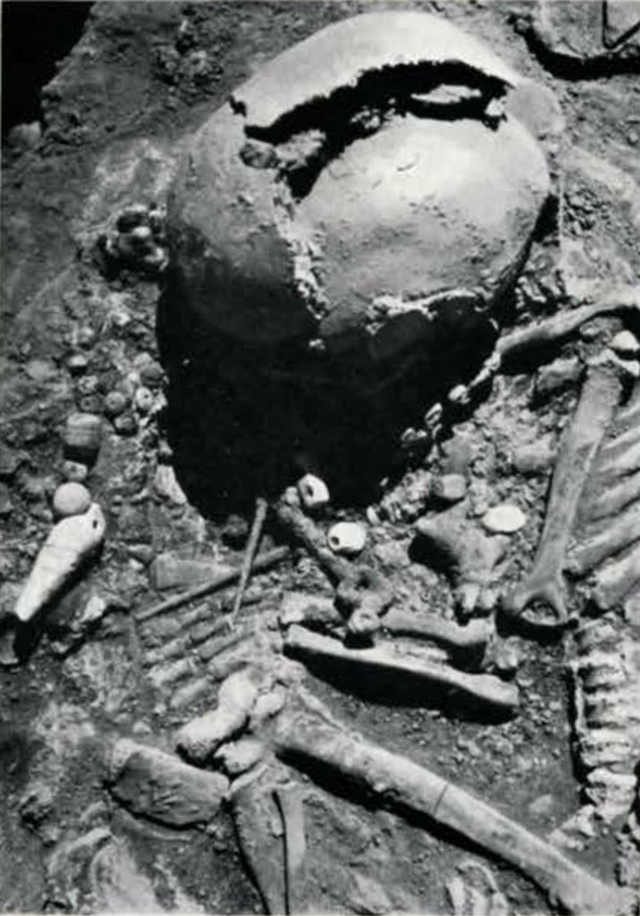 An excavated burial, close up of skeleton