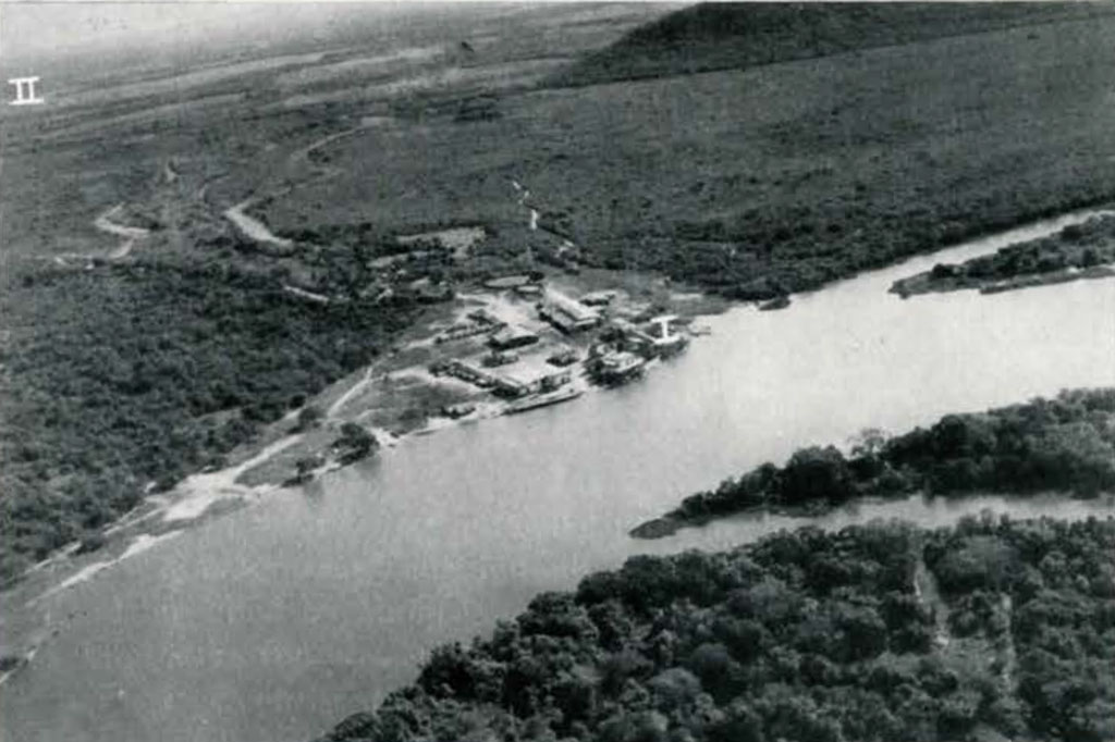 Aerial view of a forest and river