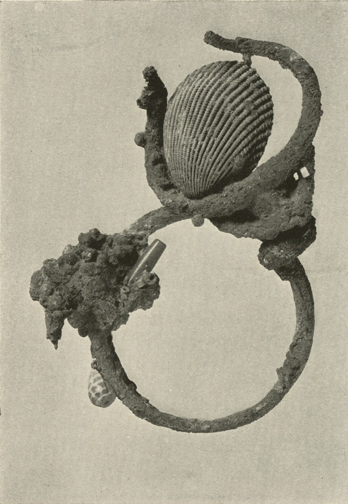 A bracelet with a shell in a partial loop, corrosion covered