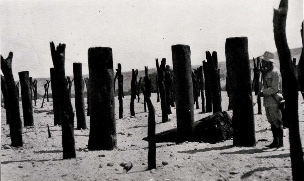 Close up of many wood posts