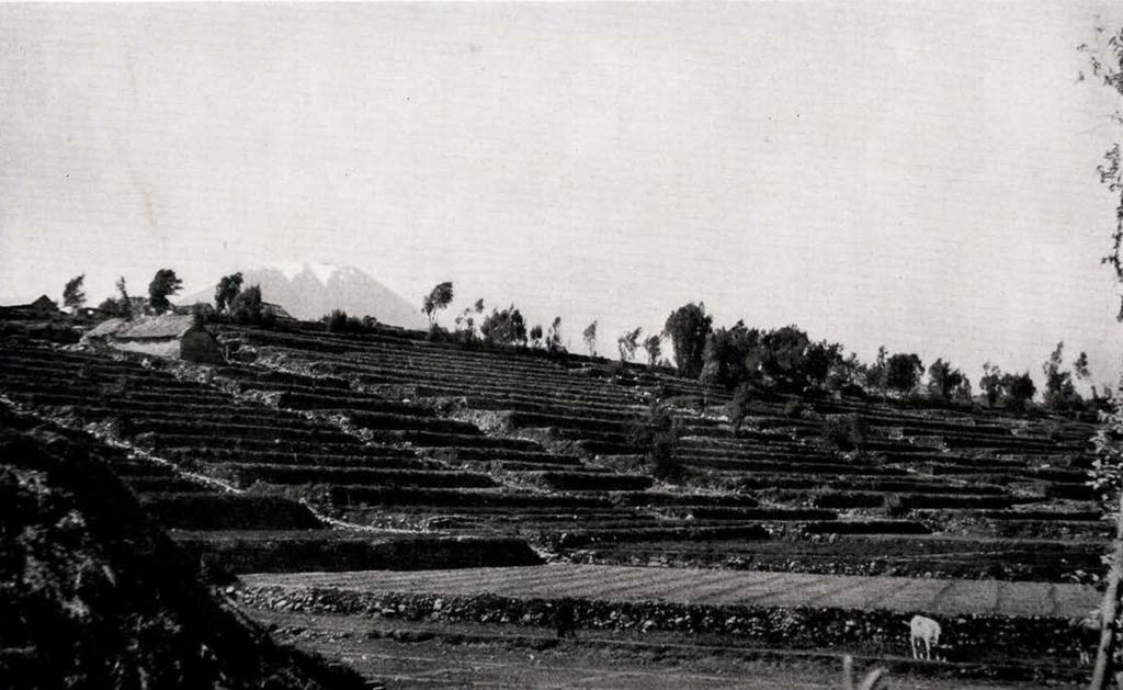 View of terraces with a mountain in the distance