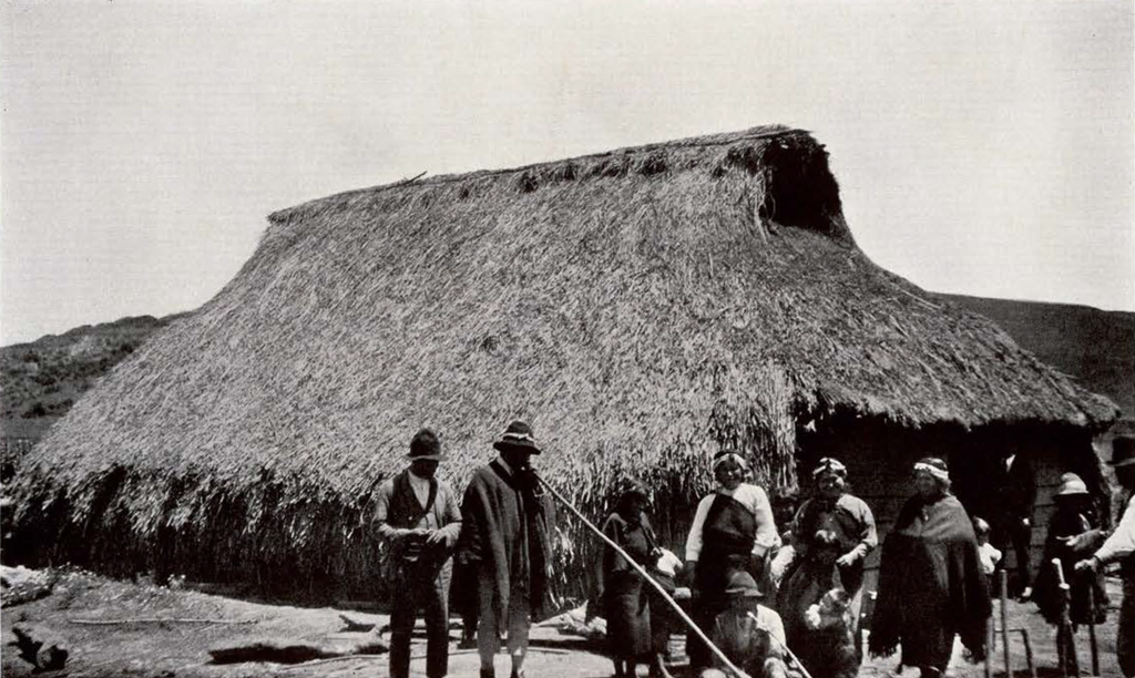 A house with a leaf roof, people gathered outside