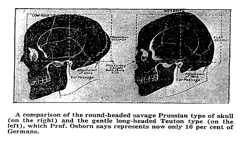 Craniology History Morton Crania Collection Penn Museum