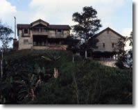 This view of a Sepacuite now in some disrepair shows the main house and the separate building that once held a grand ballroom and a small theatre. The guest house that had been built for Burkitt was torn down shortly after his death. Photo by Wilton Danien.